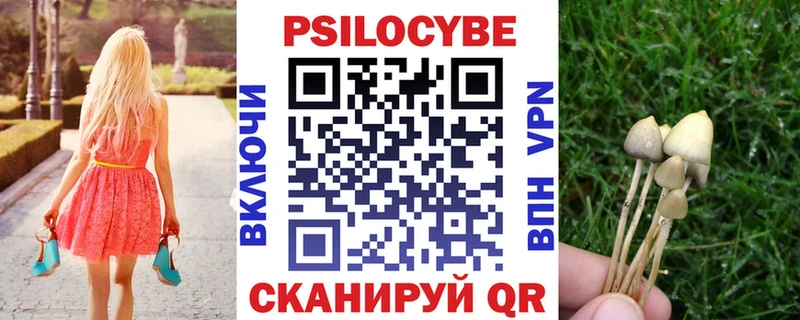 Псилоцибиновые грибы Psilocybe Бугуруслан
