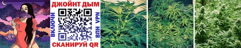 Каннабис White Widow  Бугуруслан 
